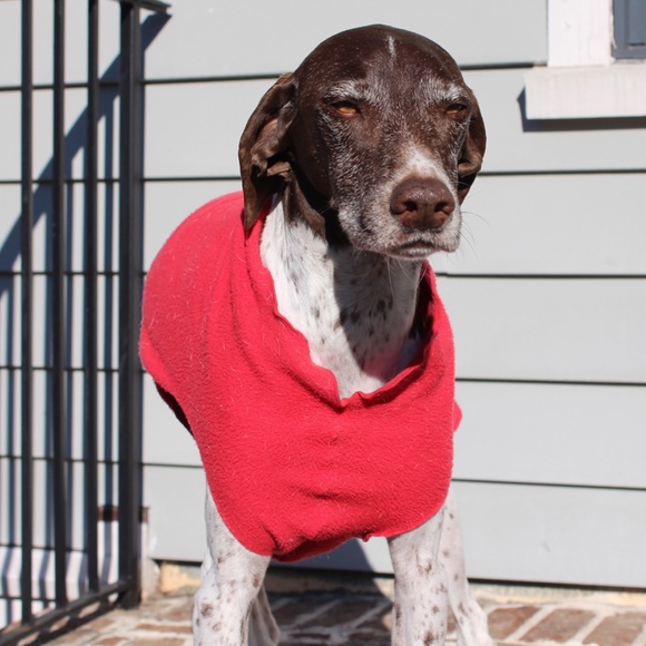 Meet your Posher, Joseph - Picture 1 of 1